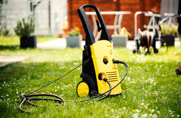 Best Sidewalk and Walkway Cleaning  in Lomira, WI